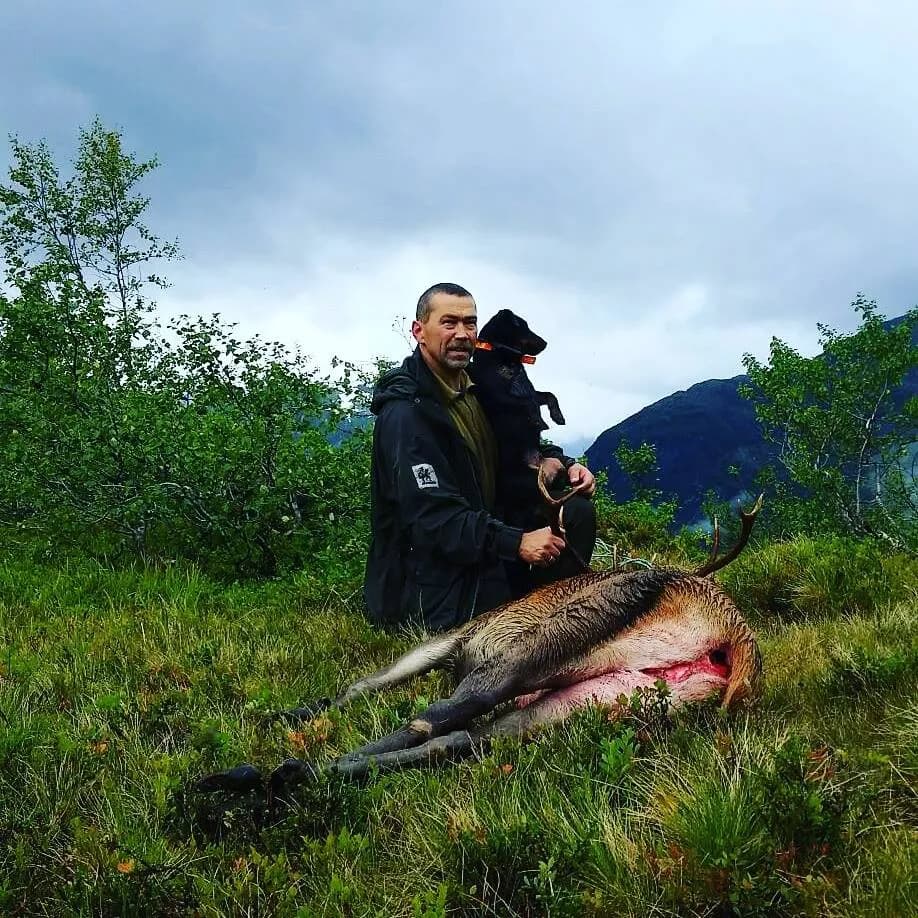 Jan Inge og Mira på hjortejakt