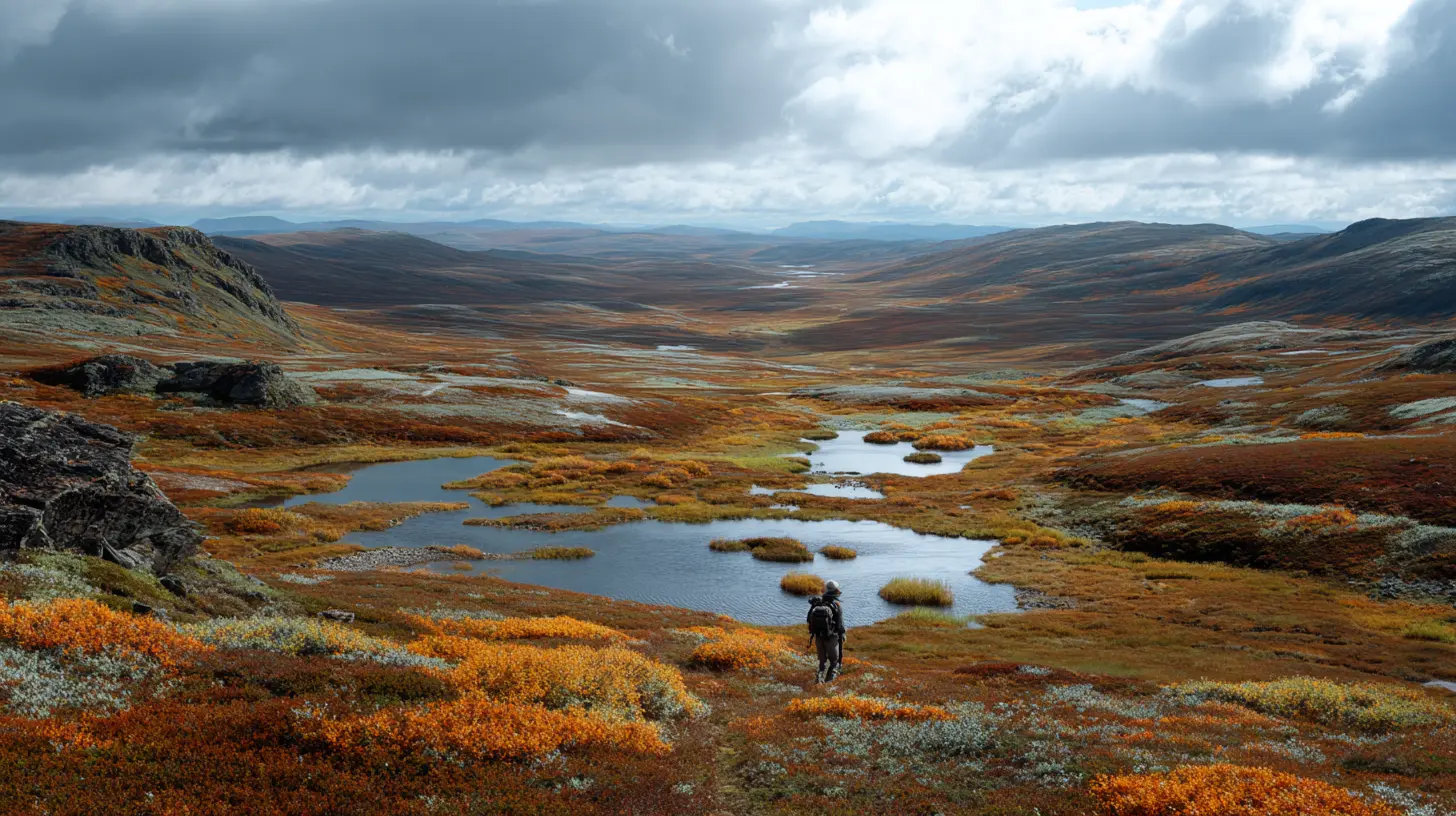 Grouse Hunting in Finnmark – Two Hours from the Nearest Road